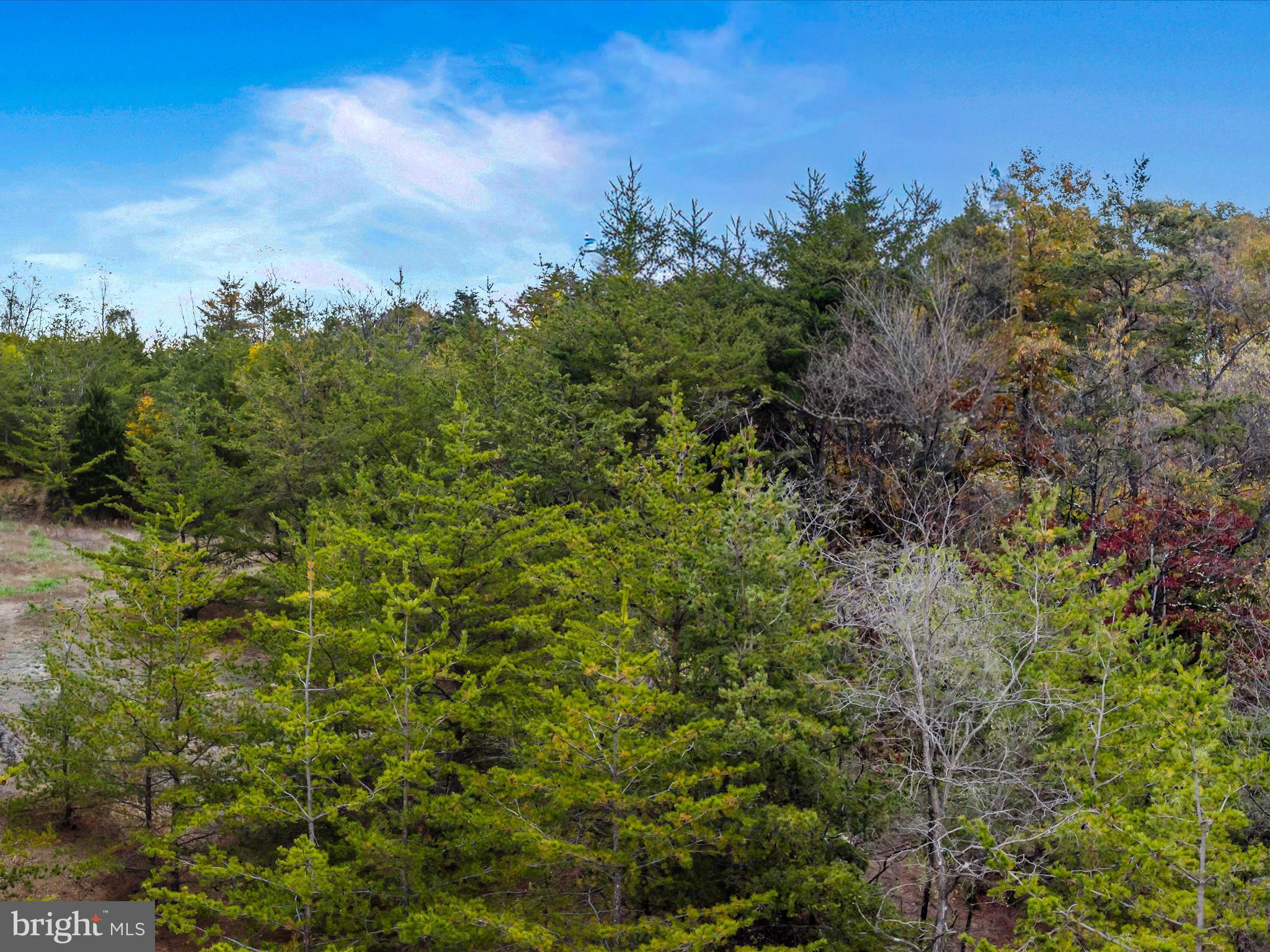 Golf Course Road Martinsburg, WV 25404 - Photo 25 of 26 a view of a bunch of trees and bushes