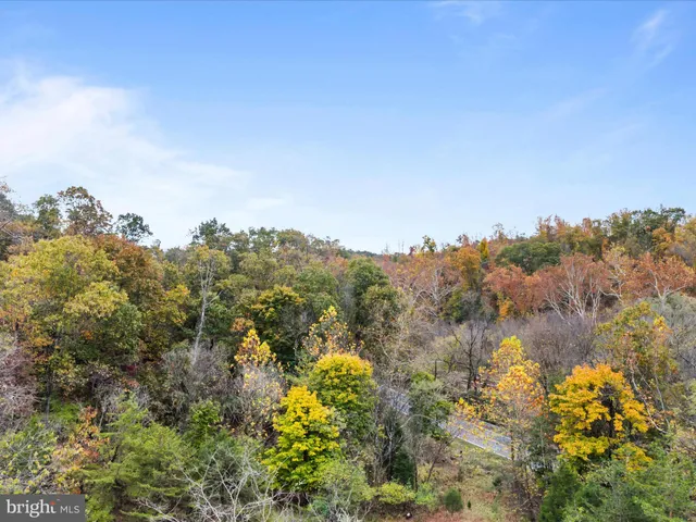 a view of a bunch of trees and houses
