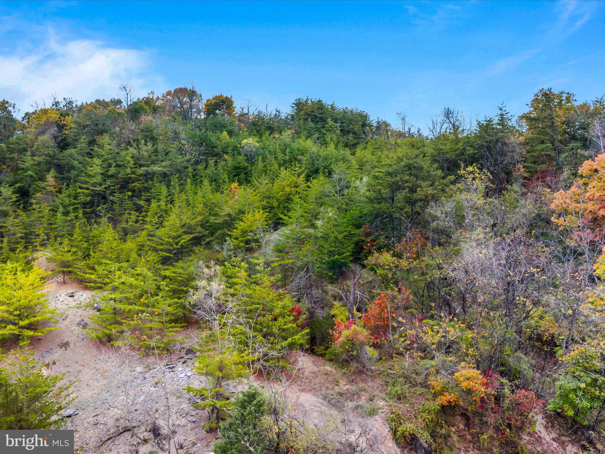 Golf Course Road Martinsburg, WV 25404 - Photo 4 of 26 a view of a garden with an tree