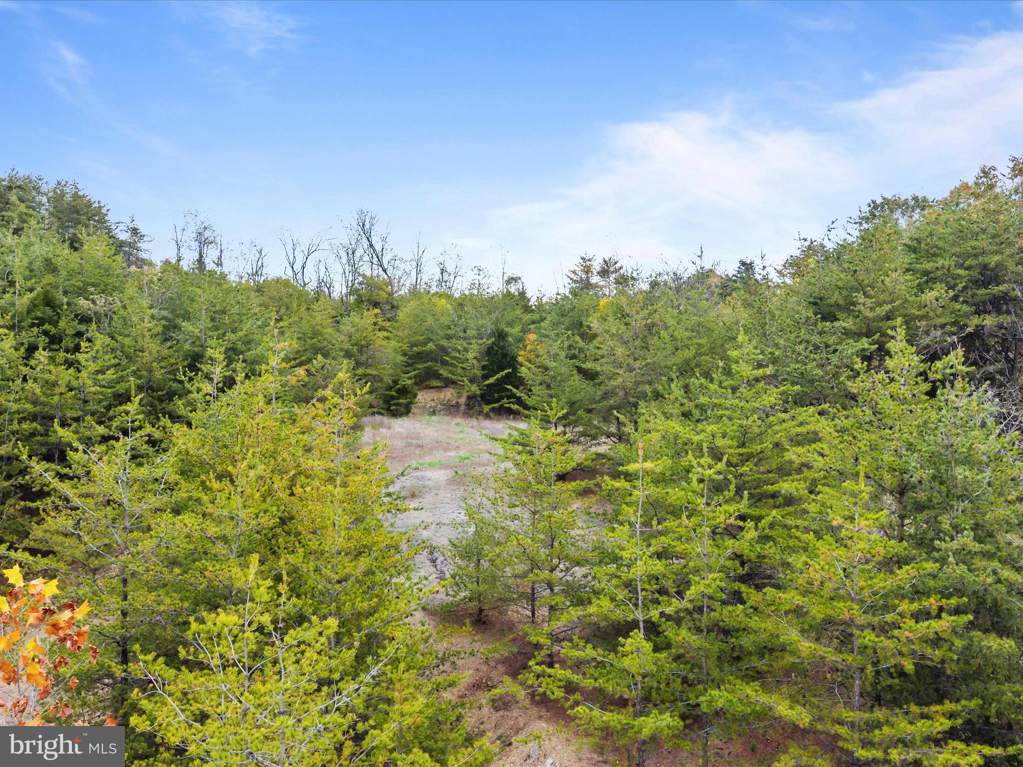 Golf Course Road Martinsburg, WV 25404 - Photo 5 of 26 a view of a bunch of trees in a field