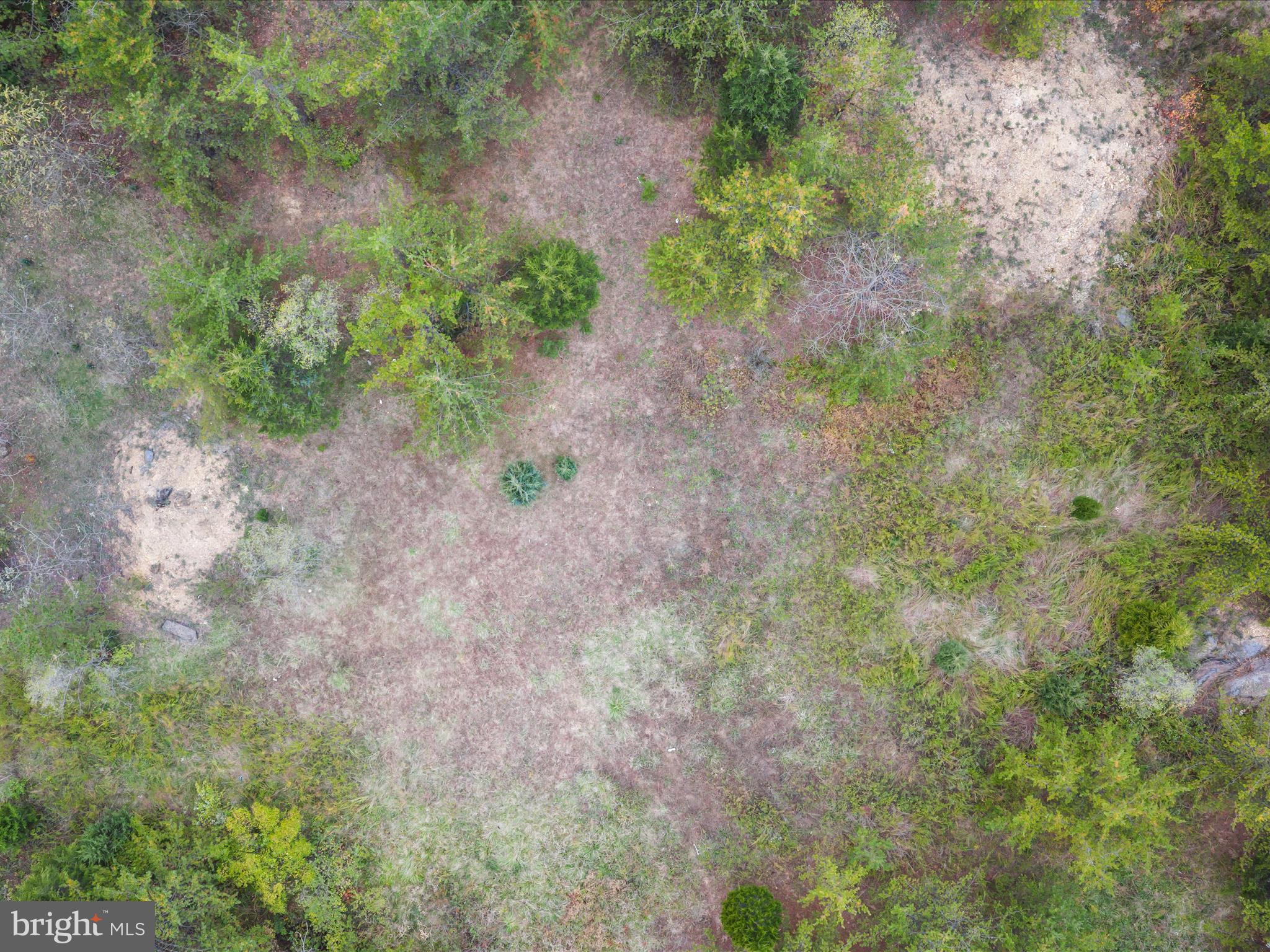 Golf Course Road Martinsburg, WV 25404 - Photo 7 of 26 a view of a yard with a yard