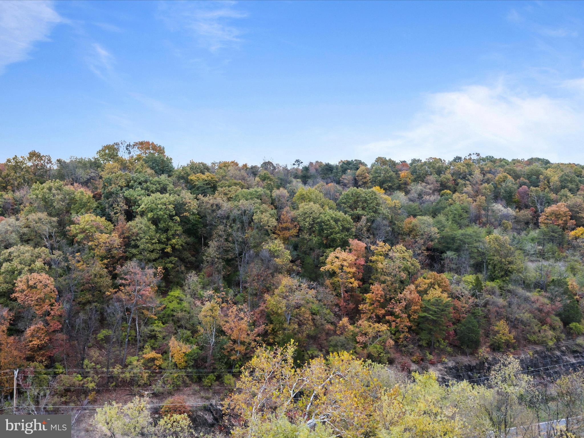 Golf Course Road Martinsburg, WV 25404 - Photo 8 of 26 a view of a yard