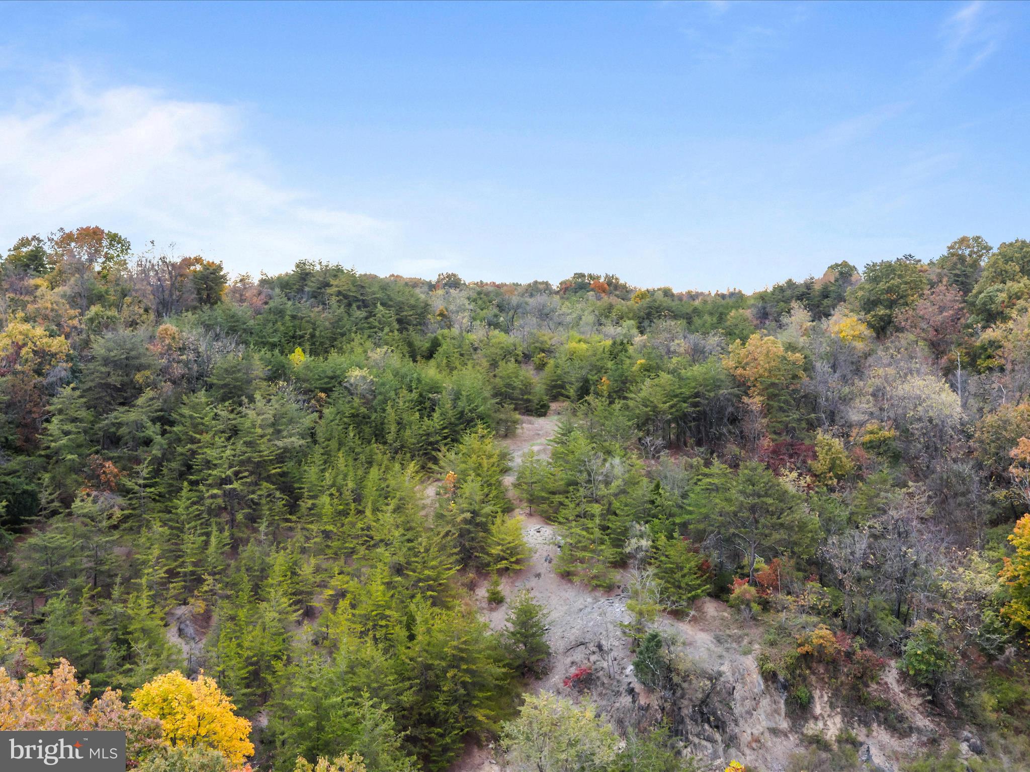 Golf Course Road Martinsburg, WV 25404 - Photo 9 of 26 a view of a forest with a mountain in the background