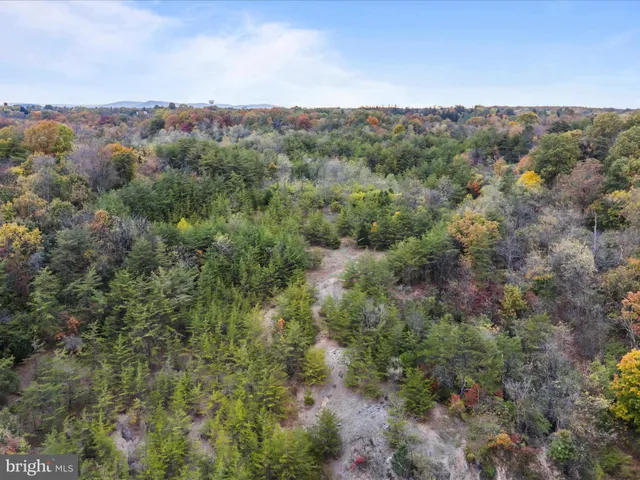 a view of a city with lush green forest