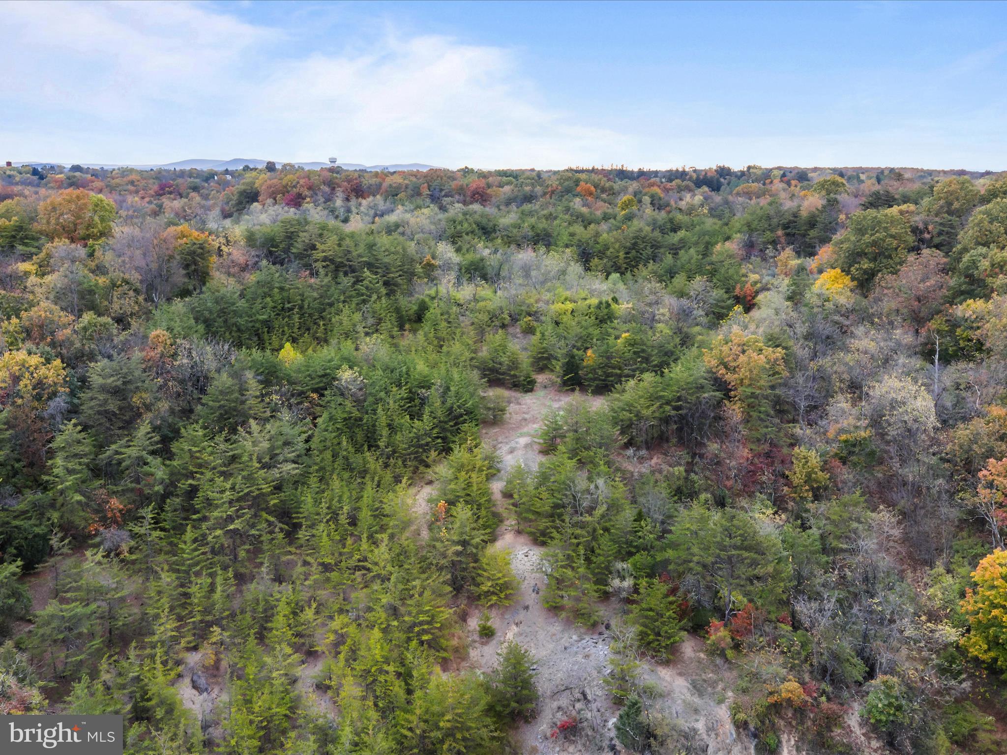 Golf Course Road Martinsburg, WV 25404 - Photo 10 of 26 a view of a city with lush green forest