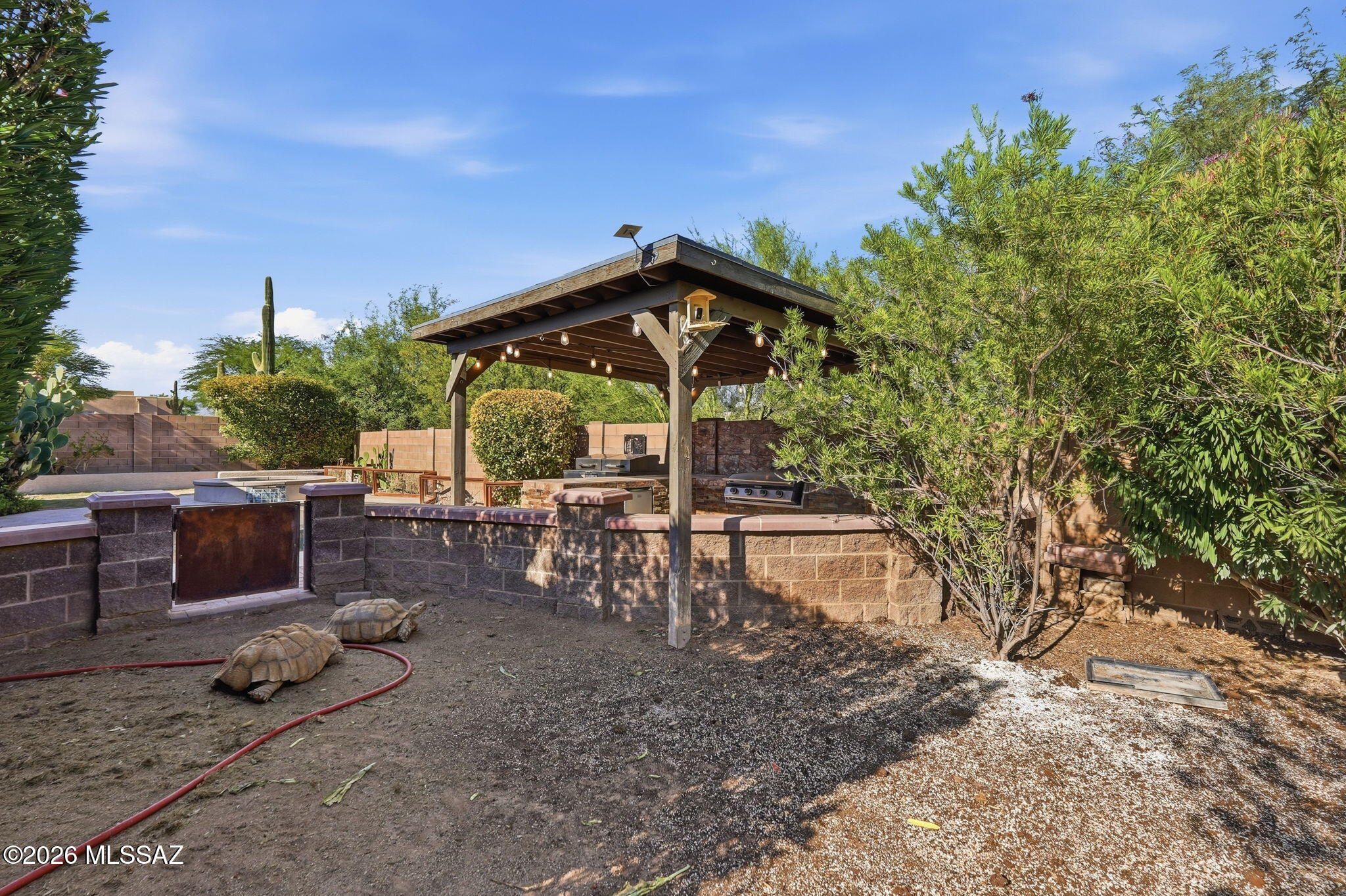 10783 South Heart Break Ridge Place Vail, AZ 85641 - Photo 29 of 36 Turtle/Dog Xing