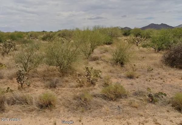 a view of a dry yard with mountains