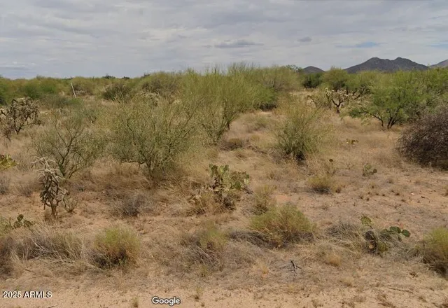 a view of a dry yard with mountains