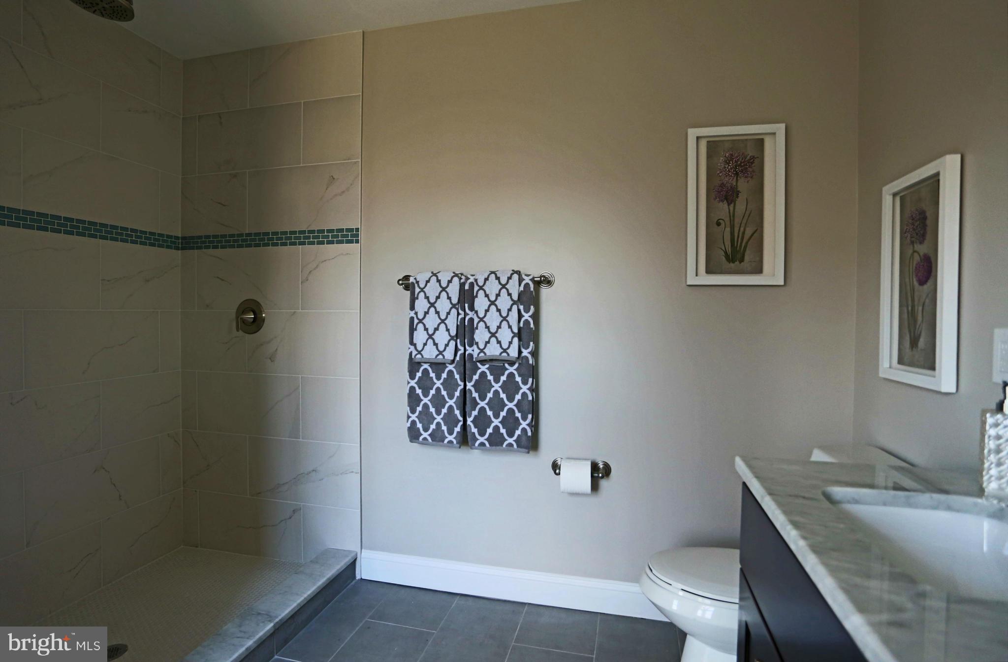 210 West George Mason Road Falls Church, VA 22046 - Photo 18 of 30 Bath (Master)