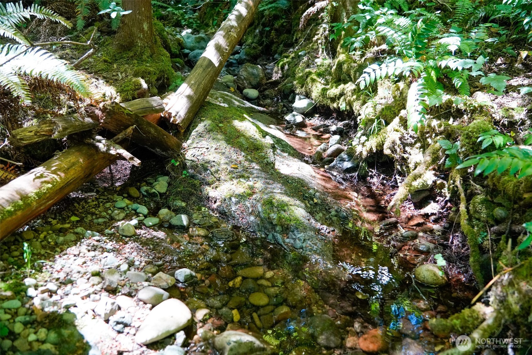 0 North Robinson Road Lilliwaup, WA 98555 - Photo 11 of 15