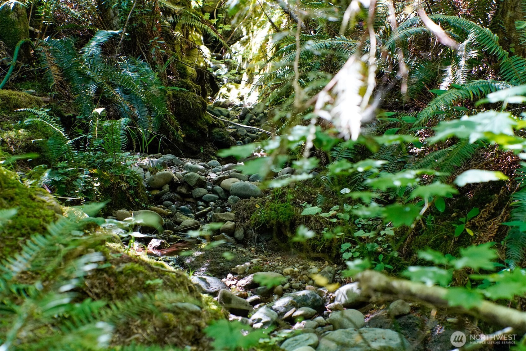 0 North Robinson Road Lilliwaup, WA 98555 - Photo 12 of 15