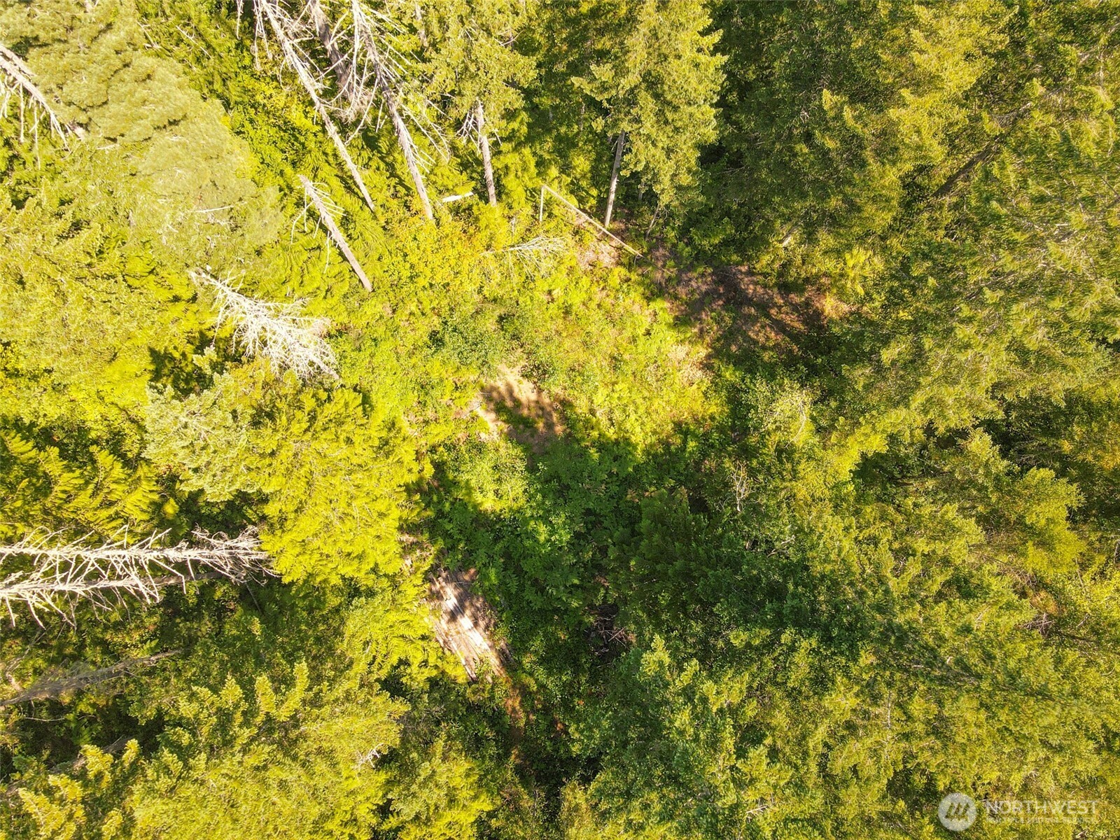 0 North Robinson Road Lilliwaup, WA 98555 - Photo 3 of 15