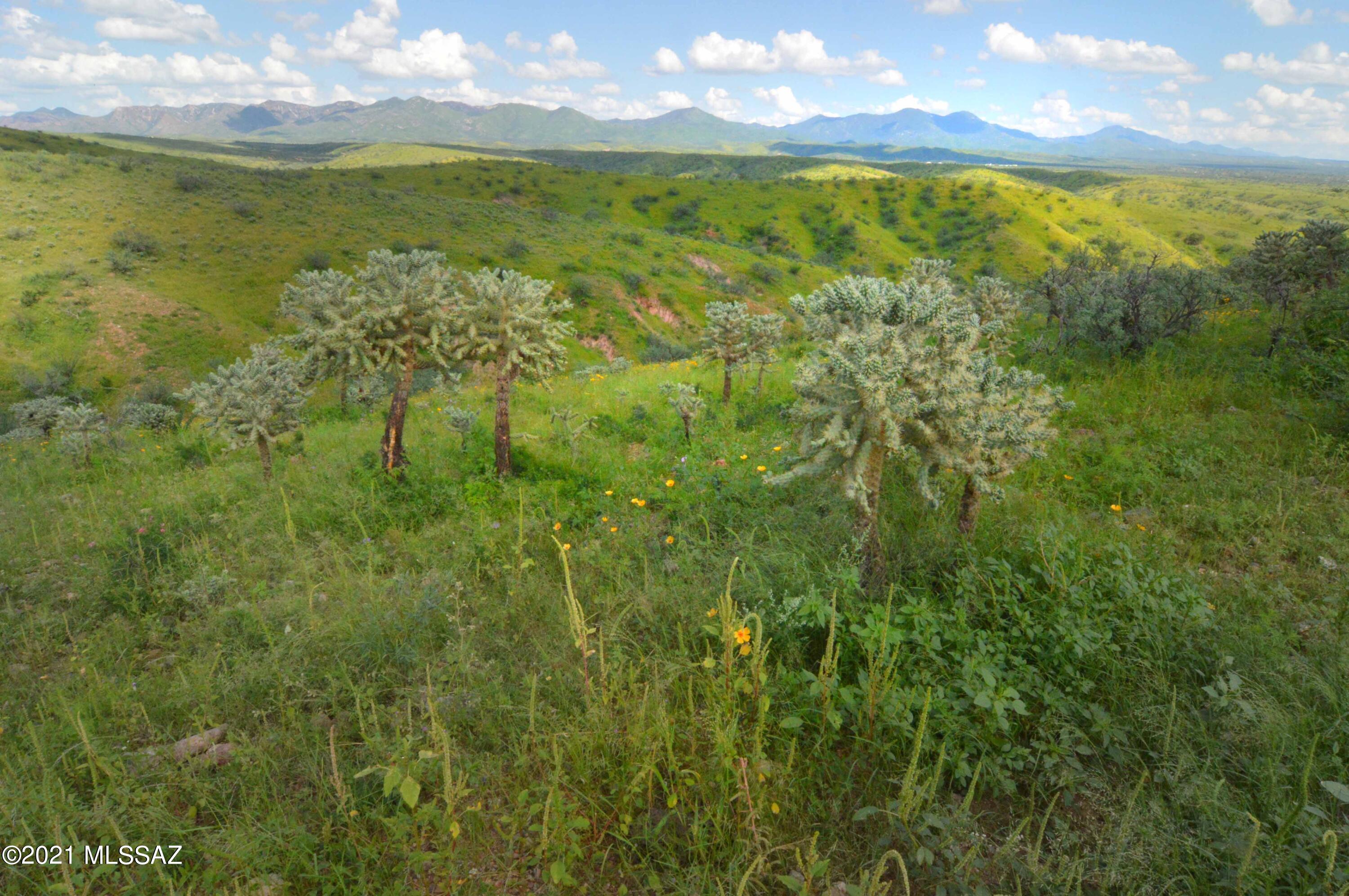 Tbd Sonoita Creek Ranch Road, Unit 86 Nogales, AZ 85621 - Photo 7 of 32