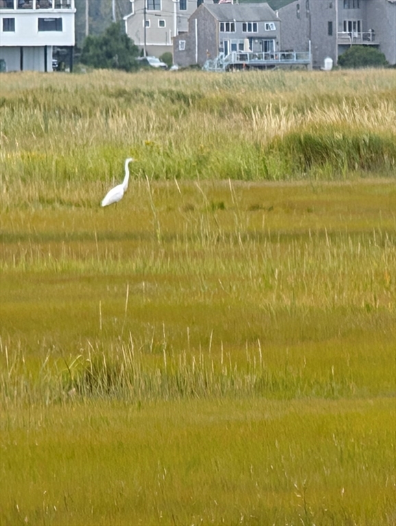 44 Old Point Road Newbury, MA 01951 - Photo 8 of 9 a view of ocean with a large house