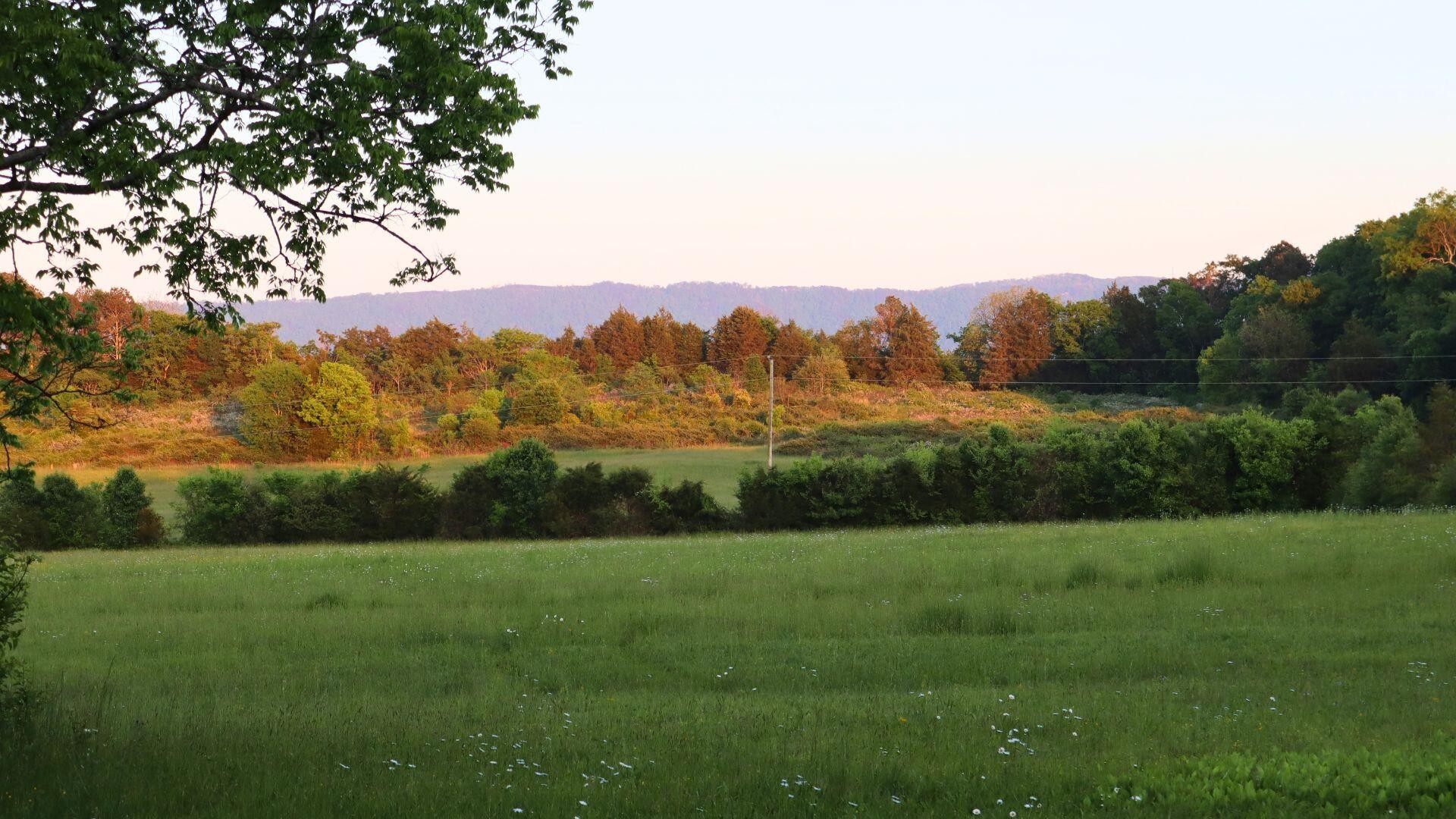 0 Thomas Road Benton, TN 37307 - Photo 10 of 16