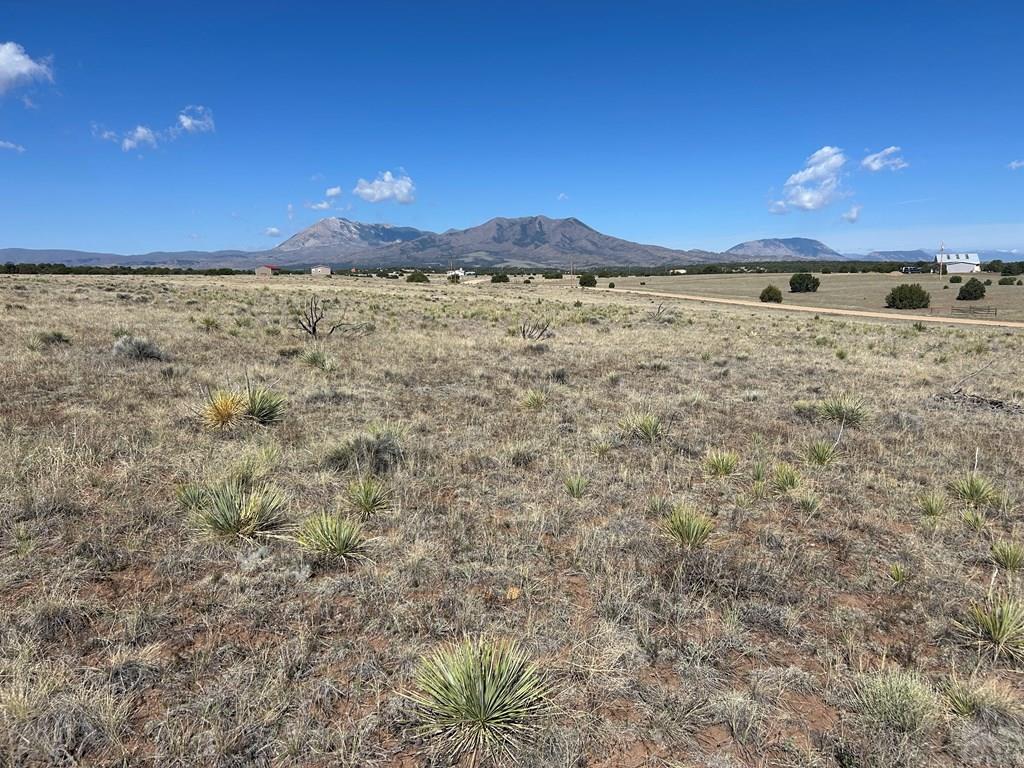 Lot 94 Navajo Ranch Walsenburg, CO 81089 - Photo 6 of 15 a view of a yard with an outdoor space