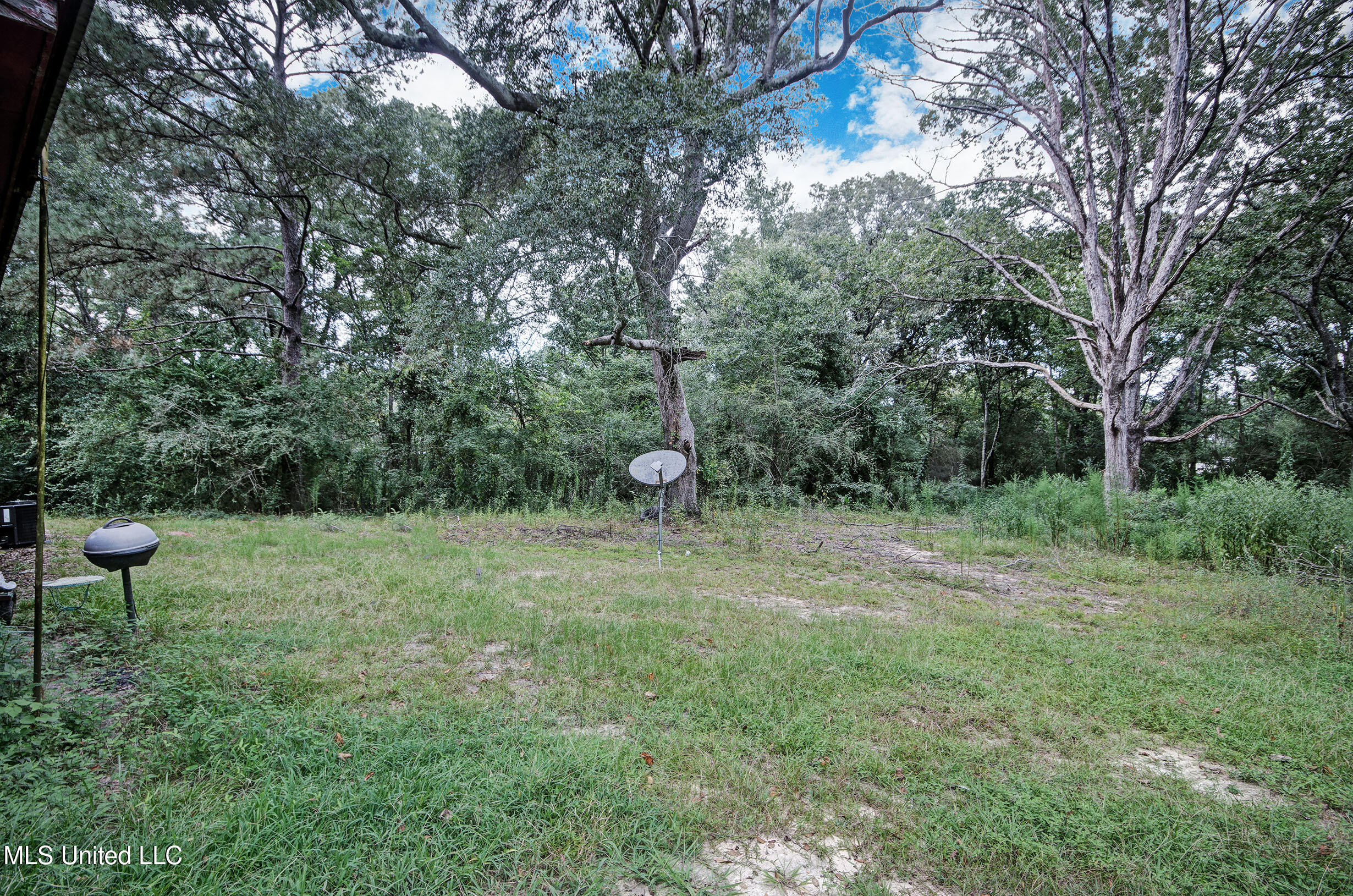 152 Dewitt Flynt Road Mendenhall, MS 39114 - Photo 20 of 20 IMGP8951_2_3