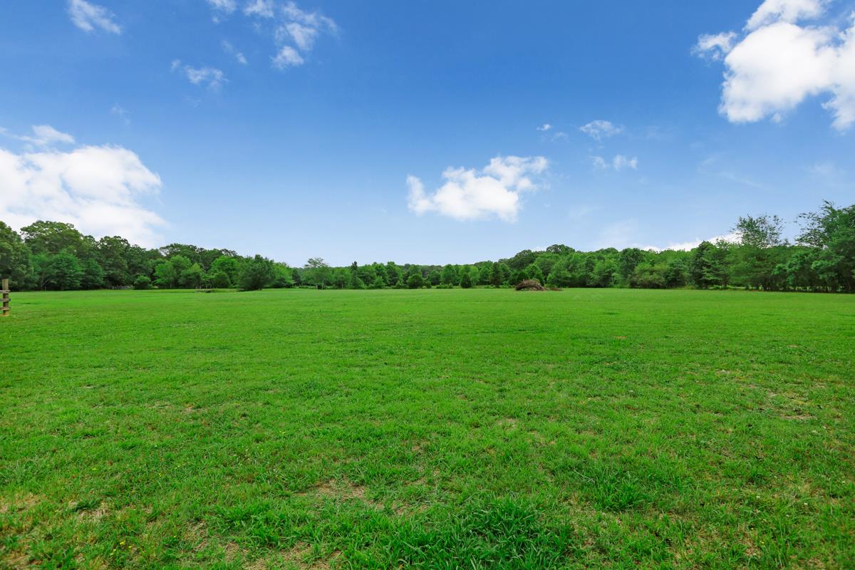 1747 Macedonia Road Ardmore, AL 35739 - Photo 16 of 17 a view of a big yard with potted plants and a large tree