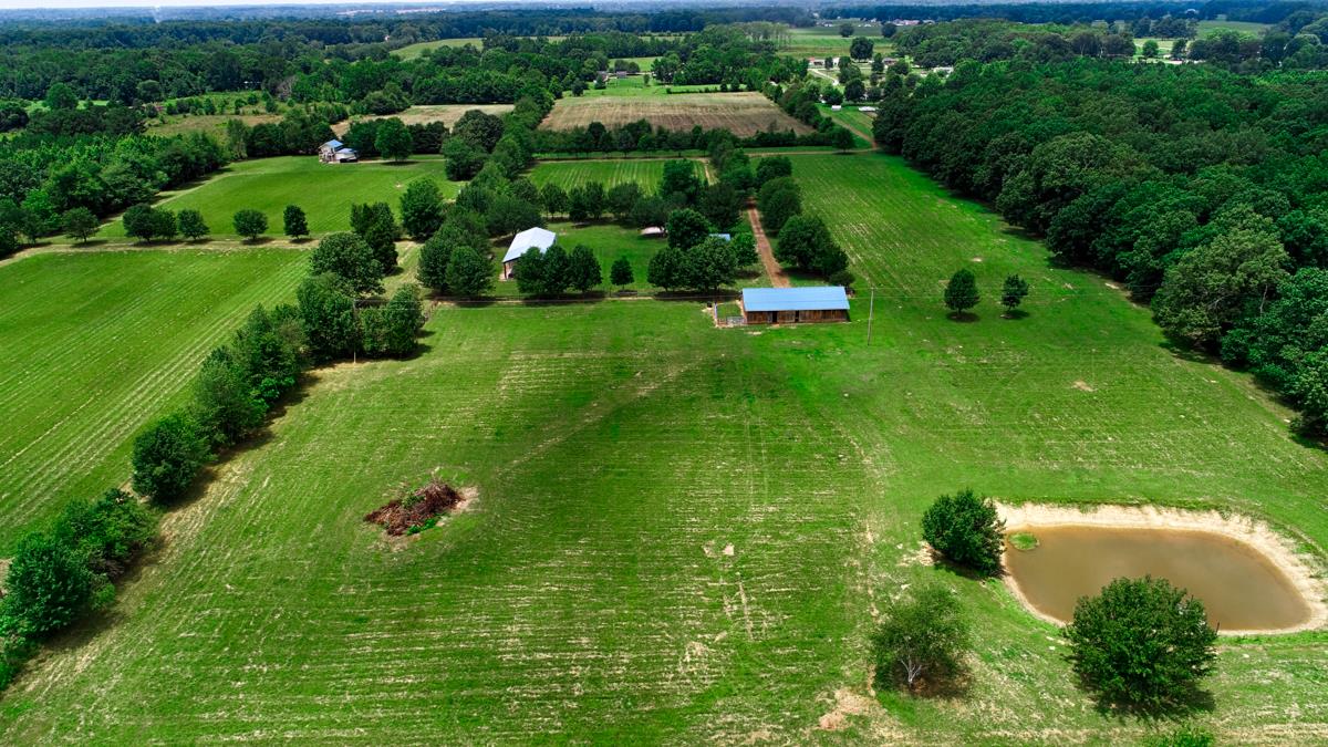 1747 Macedonia Road Ardmore, AL 35739 - Photo 5 of 17 a view of a green yard with large trees