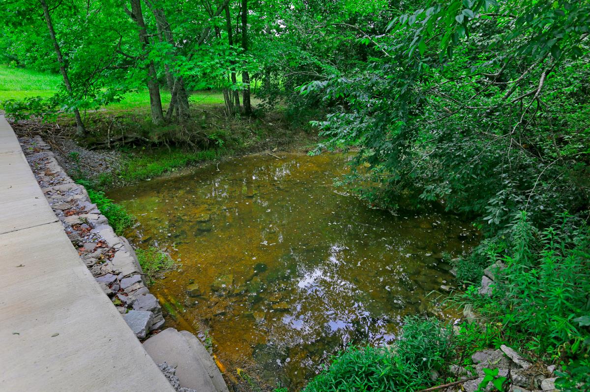 1747 Macedonia Road Ardmore, AL 35739 - Photo 6 of 17 a view of a garden