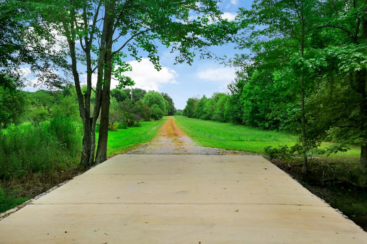 1747 Macedonia Road Ardmore, AL 35739 - Photo 7 of 17 a view of a park with plants and a large trees