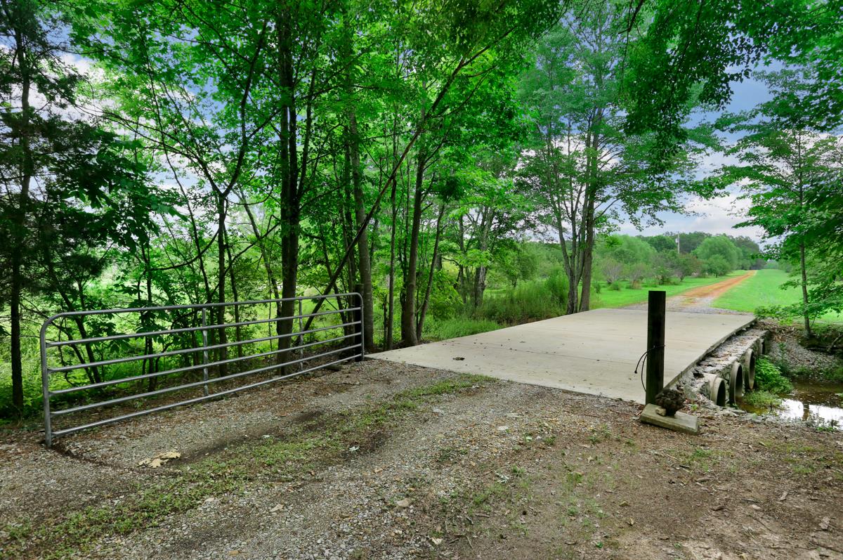 1747 Macedonia Road Ardmore, AL 35739 - Photo 8 of 17 a view of a backyard