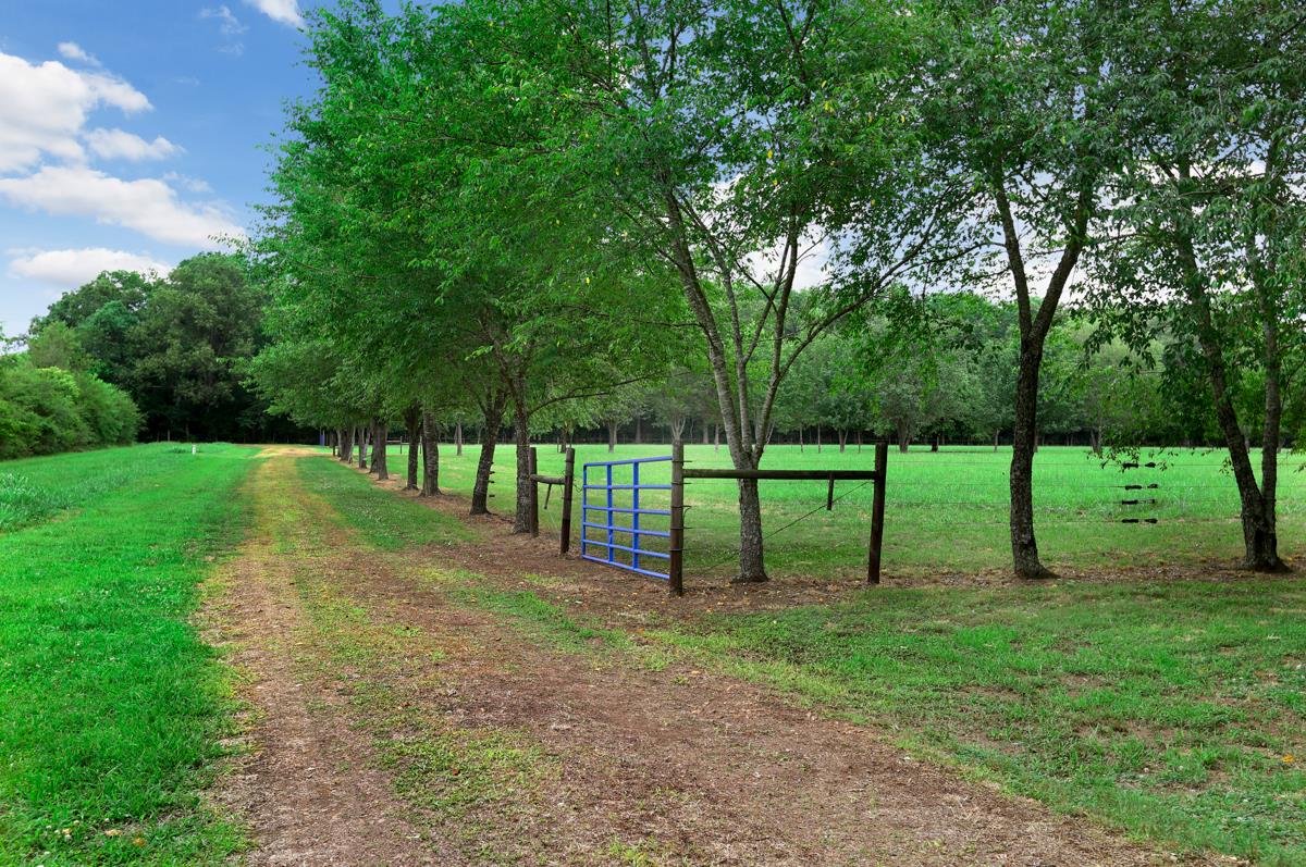 1747 Macedonia Road Ardmore, AL 35739 - Photo 9 of 17 a view of a park with a tree