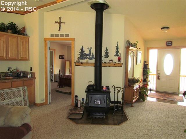 1673 Pulver Road Lake George, CO 80827 - Photo 6 of 24 Entry/layout/wood stove
