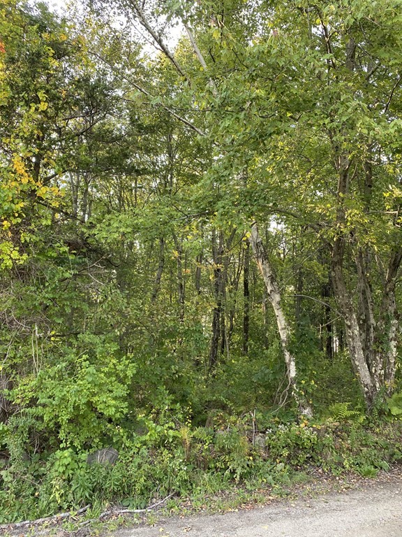 0 Coy Hill Road Warren, MA 01083 - Photo 2 of 5 Gallery Image 2