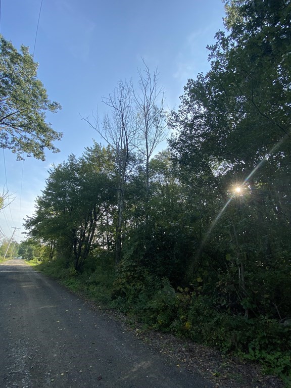 0 Coy Hill Road Warren, MA 01083 - Photo 4 of 5 Gallery Image 4