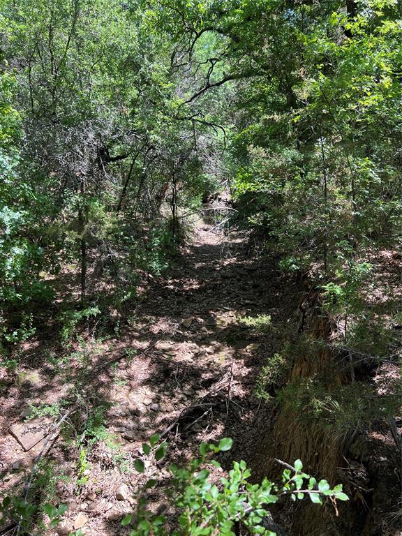 Tbd Lake Creek Road Gordon, TX 76453 - Photo 6 of 18 a view of a tree