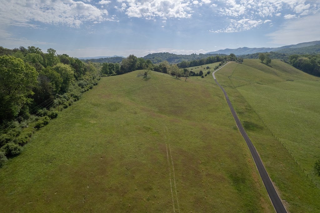 Tbd Reed Creek Mill Road Wytheville, VA 24382 - Photo 2 of 22 Gallery Image 2