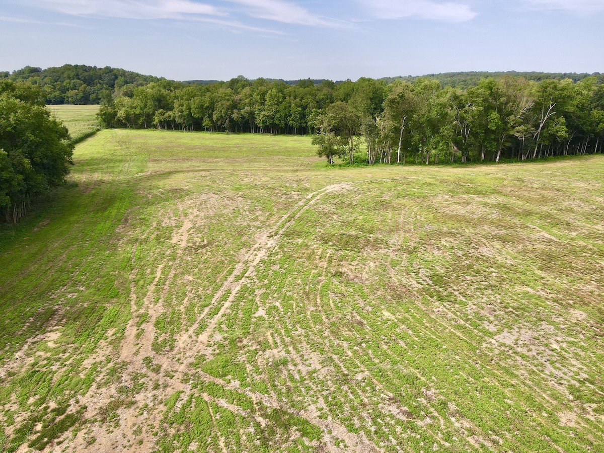 4 Shelbyville Road Morrison, TN 37357 - Photo 1 of 9 a view of an outdoor space and a yard