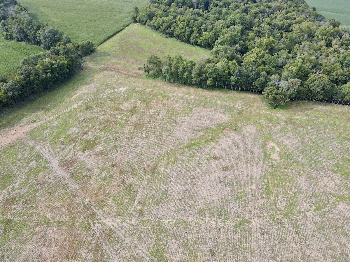 4 Shelbyville Road Morrison, TN 37357 - Photo 6 of 9 a view of a yard with a tree