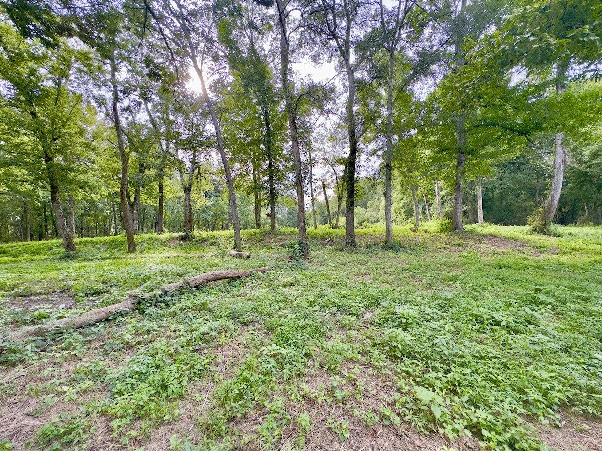 4 Shelbyville Road Morrison, TN 37357 - Photo 8 of 9 a view of field with trees
