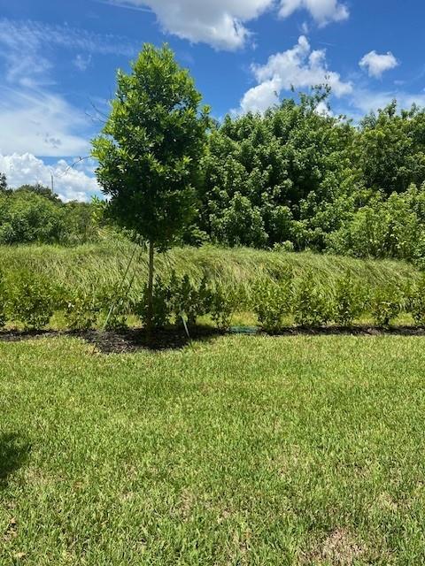 4393 Hammock Grove Drive Lake Worth, FL 33467 - Photo 8 of 32 a view of a garden with a building in the background