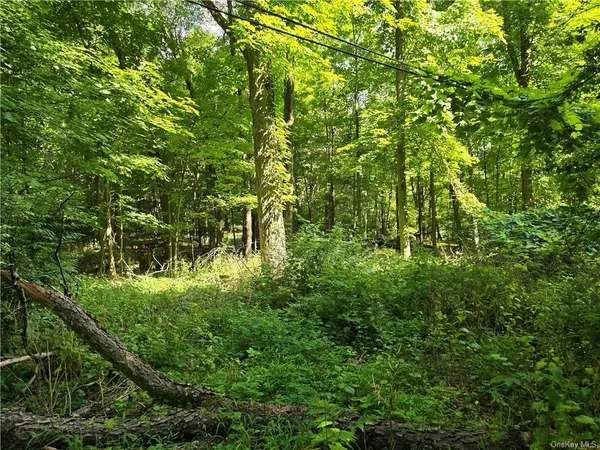 a view of a yard and a street view