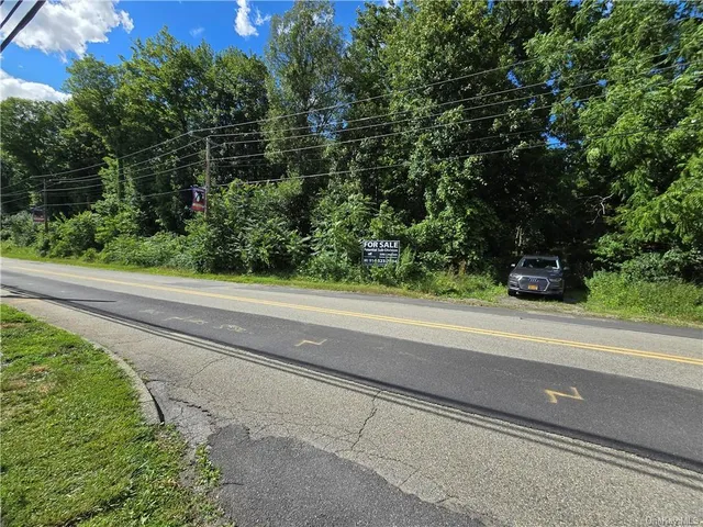 a view of a yard with plants and a bench
