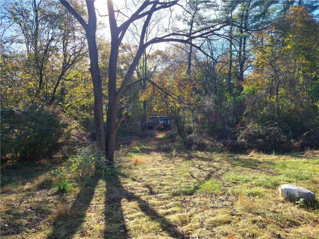 62 Old Glenham Road Fishkill, NY 12524 - Photo 8 of 33 a view of a yard