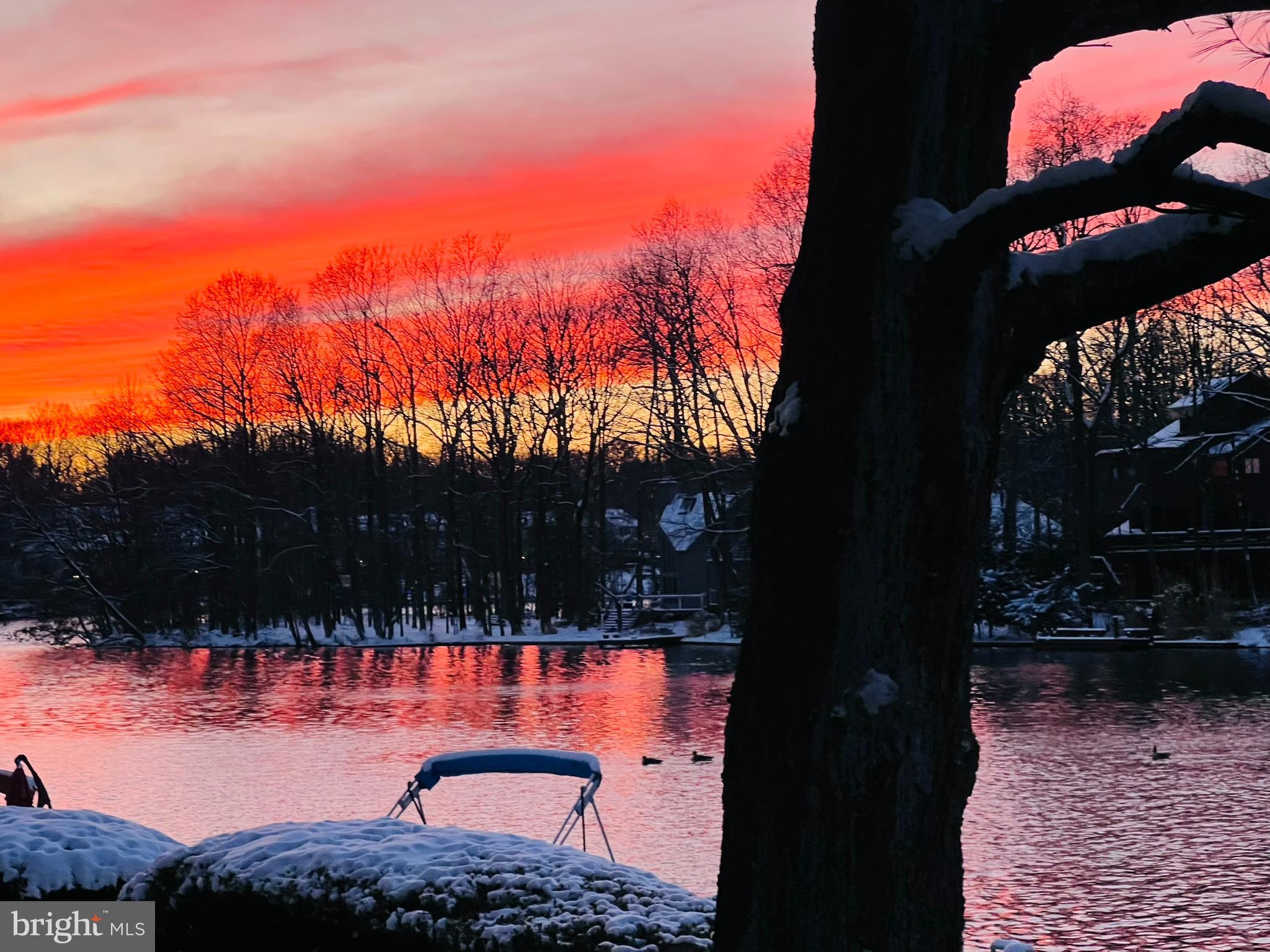 11292 Harbor Court, Unit 1292 Reston, VA 20191 - Photo 2 of 7