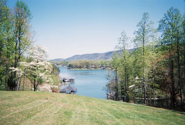 a view of a lake with a mountain in the background