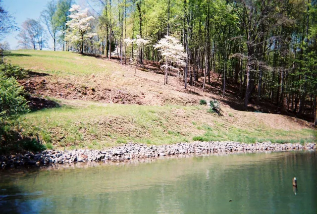 a view of a lake with a mountain