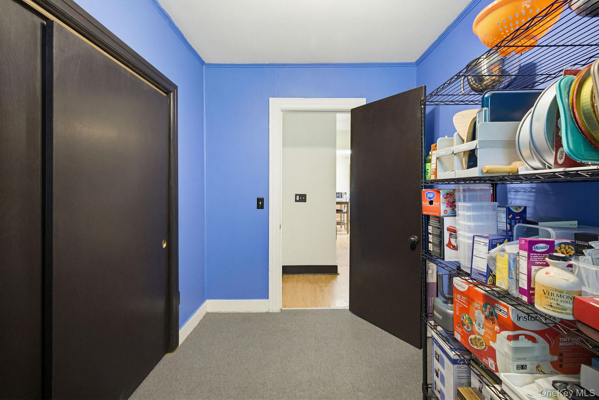 12 Bradhurst Road Carmel, NY 10512 - Photo 10 of 28 a view of walk in closet