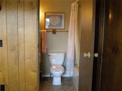 455 Iyopawa Road, Unit 32 Coldwater, MI 49036 - Photo 19 of 23 Additional Photo