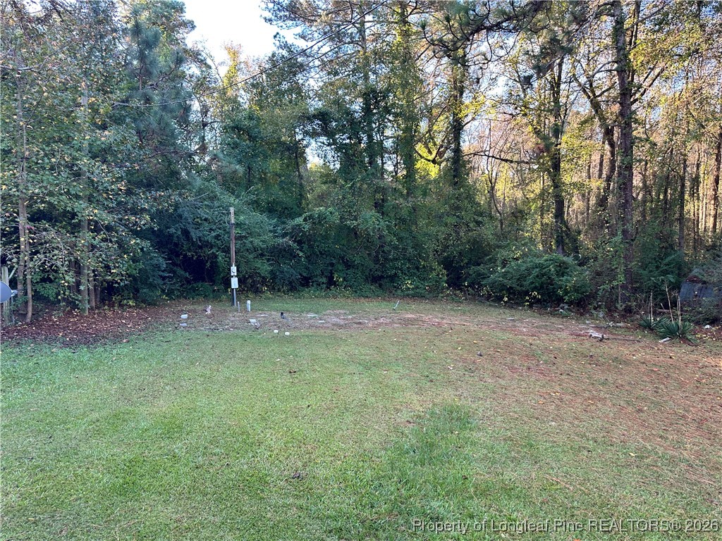 2986 Doc Brown Road Raeford, NC 28376 - Photo 11 of 14 a view of a field with trees in the background