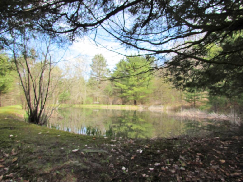 180 Pixley Road Chenango Forks, NY 13746 - Photo 26 of 28 Gallery Image 26
