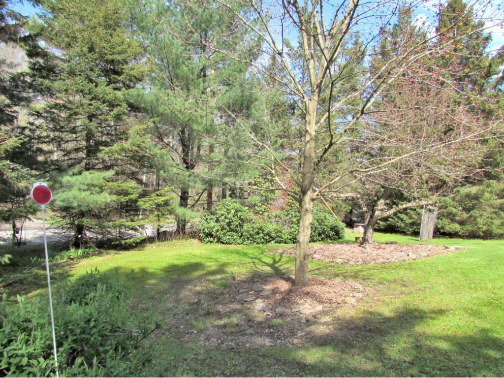 180 Pixley Road Chenango Forks, NY 13746 - Photo 28 of 28 Gallery Image 28