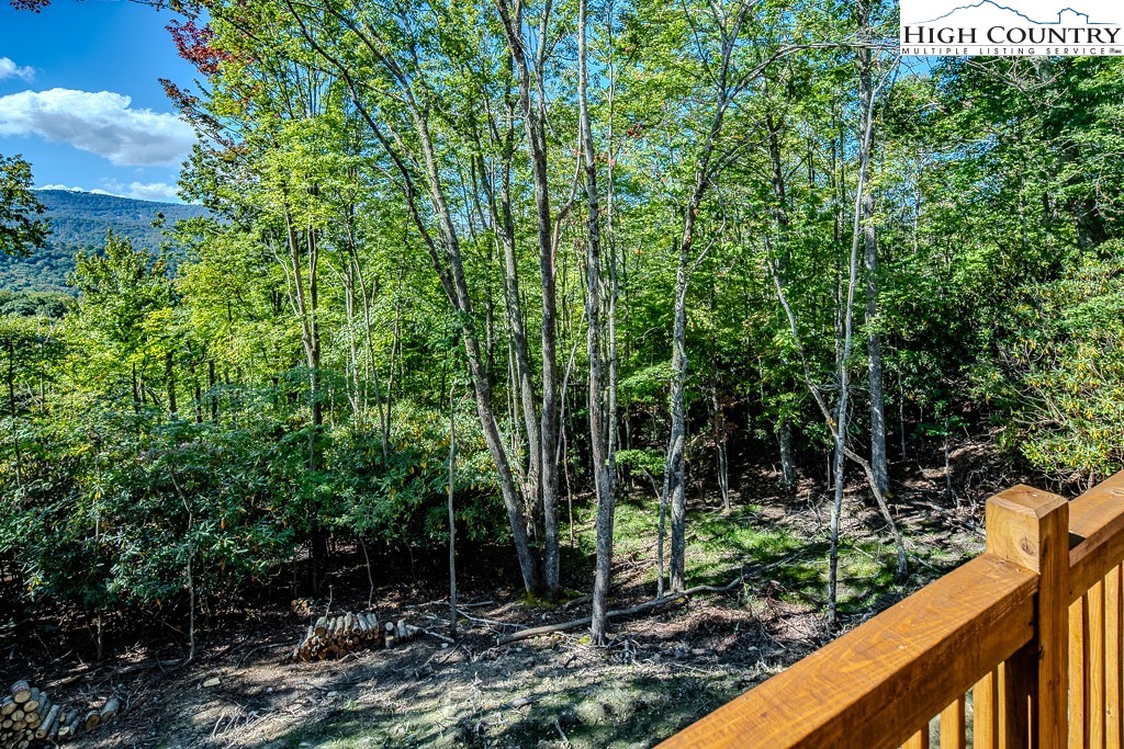 225 Oak Road Beech Mountain, NC 28604 - Photo 27 of 36