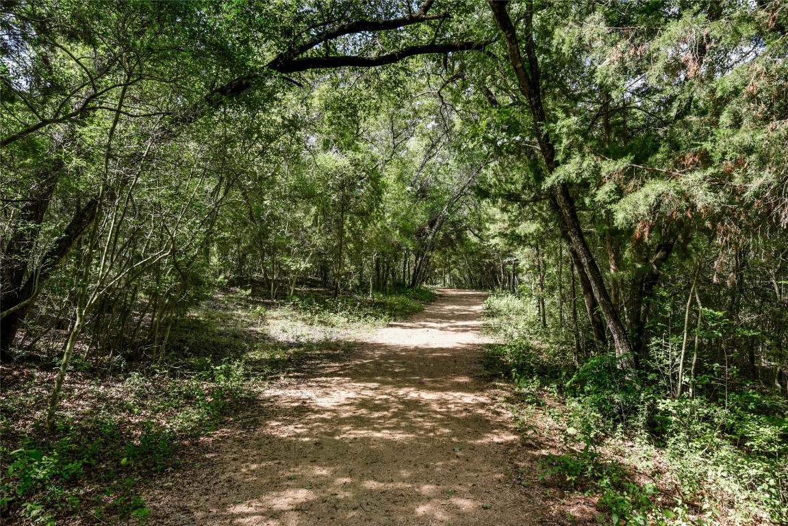 3509 Fawn Trail Austin, TX 78746 - Photo 30 of 30 a view of outdoor space and yard
