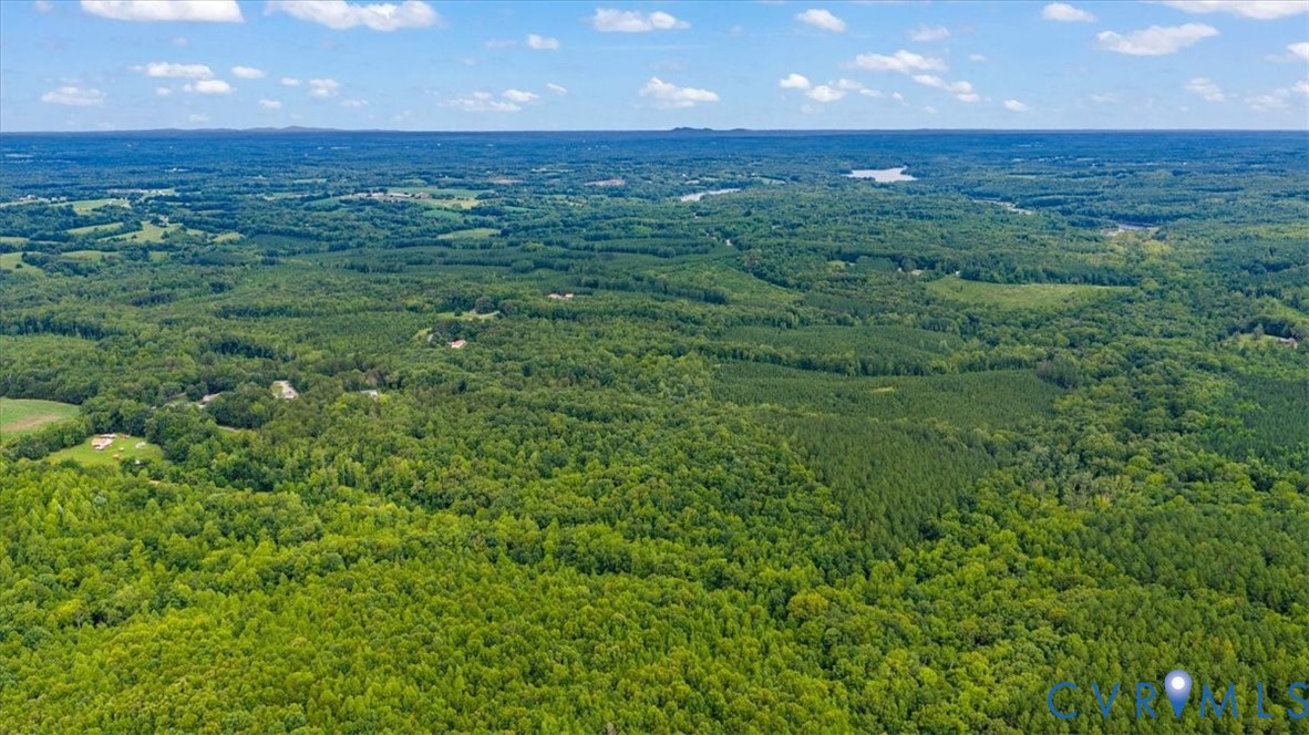 0 Indian Spg Road Green Bay, VA 23942 - Photo 4 of 9 Expansive land parcel featuring dense tree coverag